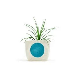 Big Dot Blockprint Canvas Planter—4" GRAY GREEN GOODS