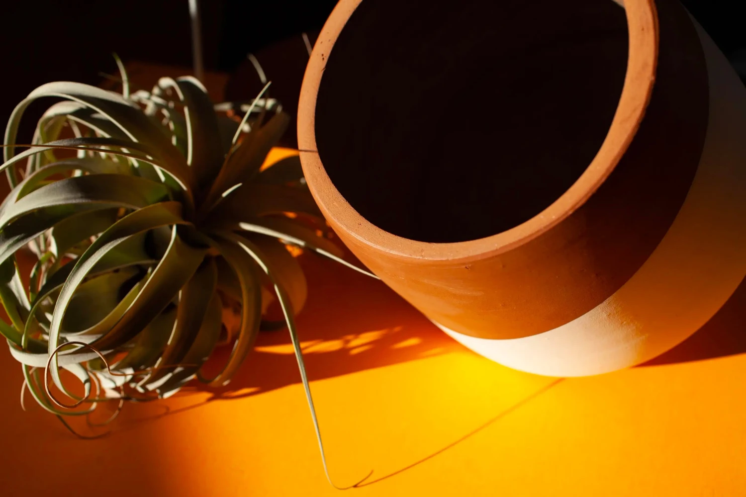 BELUGA Ponder Pot - Premium Hand Crafted Terra Cotta Planter 6 BELUGA Ponder Pot - Premium Hand Crafted Terra Cotta Planter - Image 6