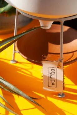 BELUGA Ponder Pot - Premium Hand Crafted Terra Cotta Planter 8 BELUGA Ponder Pot - Premium Hand Crafted Terra Cotta Planter -Cloud-Hidden Plants s753278155256112669 p1021 i5 w1867