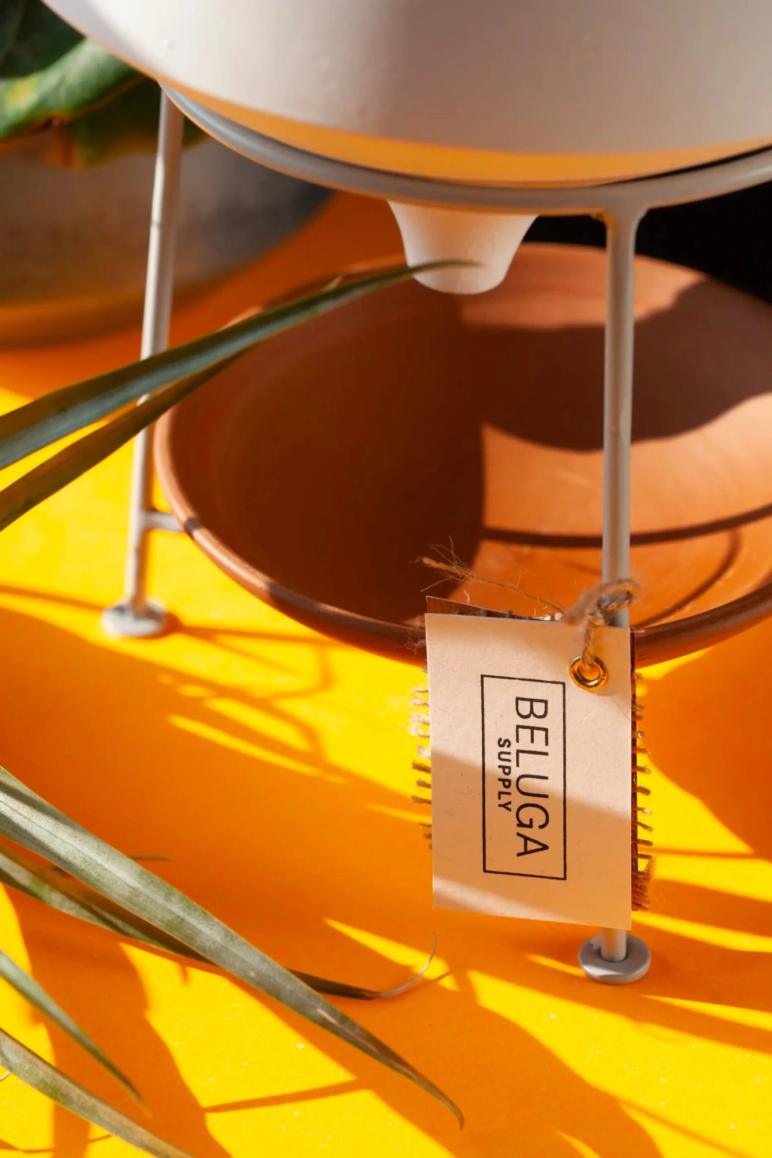 BELUGA Ponder Pot - Premium Hand Crafted Terra Cotta Planter 3 BELUGA Ponder Pot - Premium Hand Crafted Terra Cotta Planter - Image 3