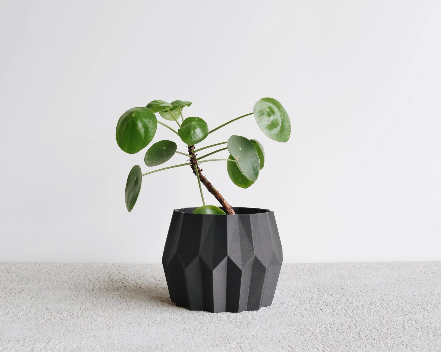 Tokyo Planter By Minimum Design 2 Tokyo Planter By Minimum Design - Image 2