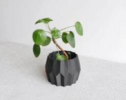 Tokyo Planter By Minimum Design 5 Tokyo Planter By Minimum Design -Cloud-Hidden Plants s753278155256112669 p1039 i3 w3235