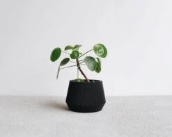 Oslo Planter Black By Minimum Design