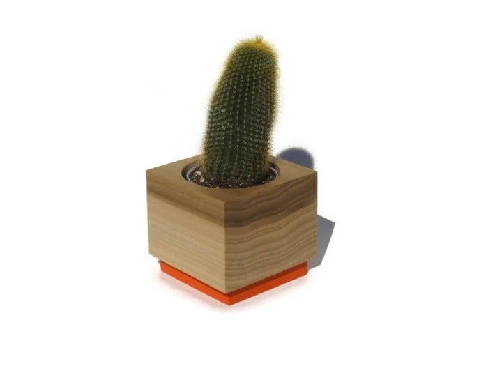 Orange Succulent Planter 1 Orange Succulent Planter