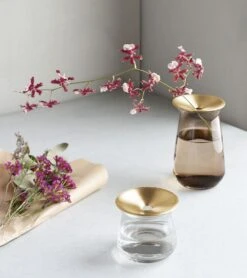 Cloud-Hidden Plants 43 Cloud-Hidden Plants -Cloud-Hidden Plants s753278155256112669 p1124 i1 w750