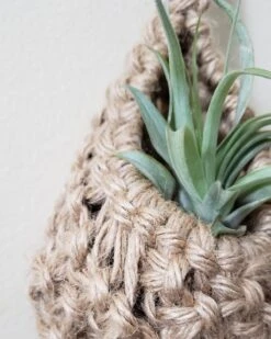 Jute Plant Pod Hanger By Maddi And Joan 6 Jute Plant Pod Hanger By Maddi And Joan -Cloud-Hidden Plants s753278155256112669 p1128 i3 w1200