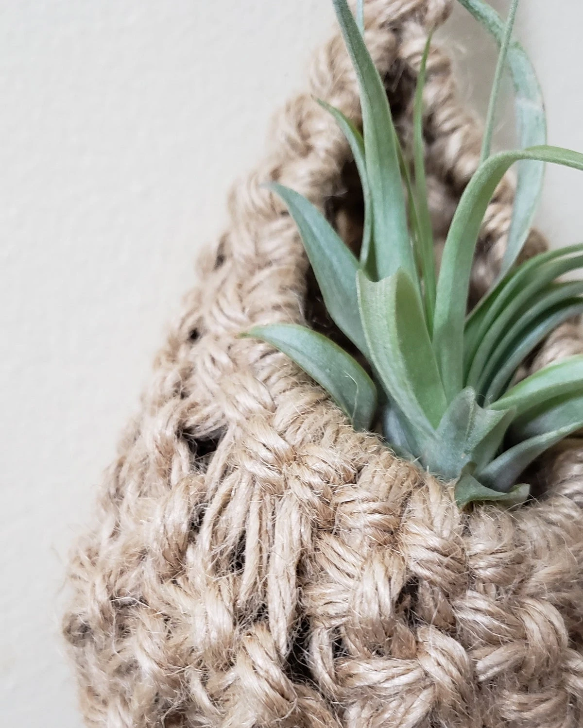 Jute Plant Pod Hanger By Maddi And Joan 3 Jute Plant Pod Hanger By Maddi And Joan - Image 3