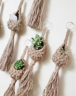 Jute Plant Pod Hanger By Maddi And Joan 7 Jute Plant Pod Hanger By Maddi And Joan -Cloud-Hidden Plants s753278155256112669 p1128 i4 w1200