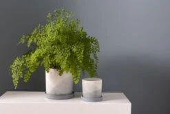 KEPPEL Pale Blue White Tones Cylinder Pot With Saucer By ACCENT DECOR -Cloud-Hidden Plants s753278155256112669 p1142 i3 w530