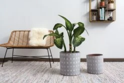 Spot On Pot - Accent Decor Polka Dot Cache Pots 6 Spot On Pot - Accent Decor Polka Dot Cache Pots -Cloud-Hidden Plants s753278155256112669 p1202 i4 w6750