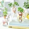 Shippon Self Watering Animal Planters