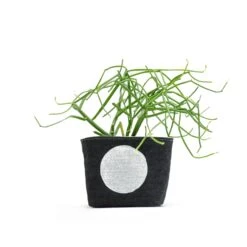 Big White Dot Blockprint Denim Planter—4" GRAY GREEN GOODS