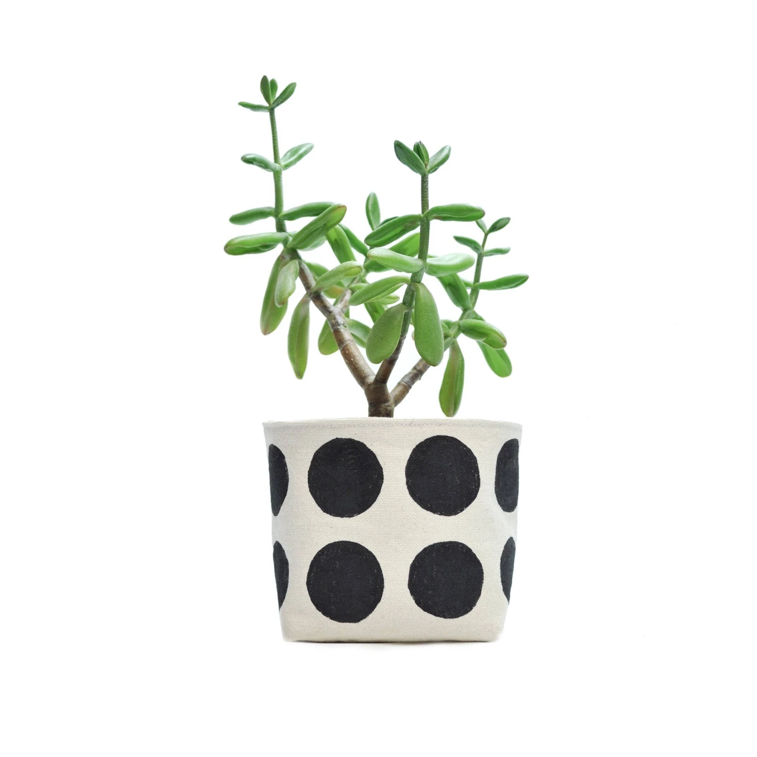 Multi Dots Black Blockprint Canvas Planter—4" GRAY GREEN GOODS 1 Multi Dots Black Blockprint Canvas Planter—4" GRAY GREEN GOODS