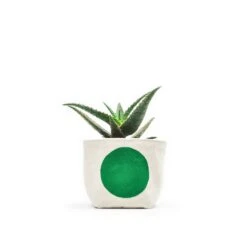 Gray Green Goods - Big Dot Blockprint Canvas Planter—4"