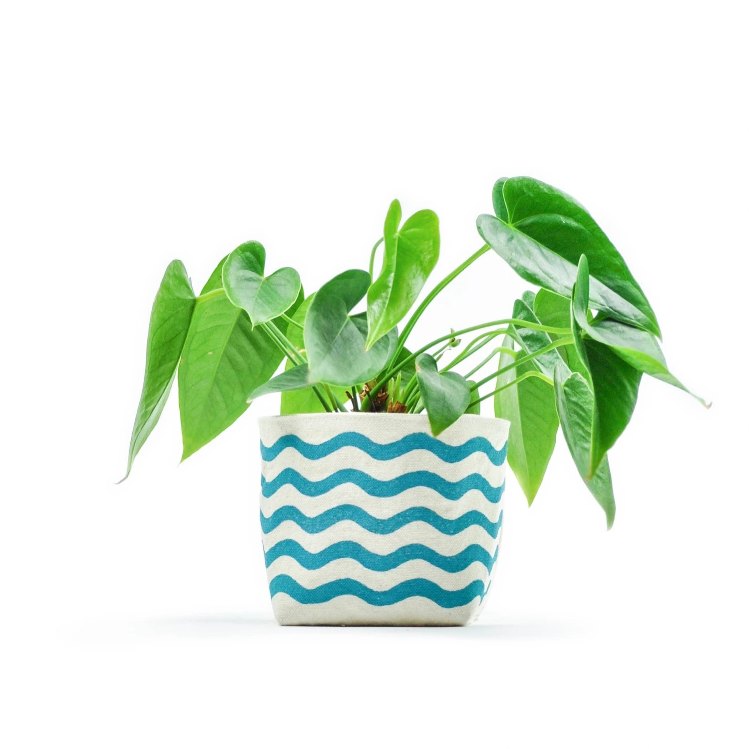 Gray Green Goods - Wavy Line Blockprint Canvas Planter—4" 1 Gray Green Goods - Wavy Line Blockprint Canvas Planter—4"