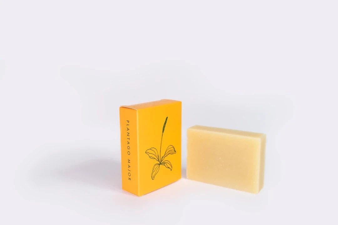 Plantago Major Soap By ALTR 1 Plantago Major Soap By ALTR