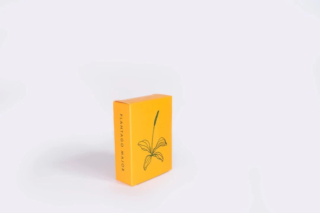 Plantago Major Soap By ALTR 2 Plantago Major Soap By ALTR - Image 2