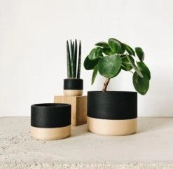 Nairobi Planter By Minimum Design -Cloud-Hidden Plants s753278155256112669 p1292 i3 w2560