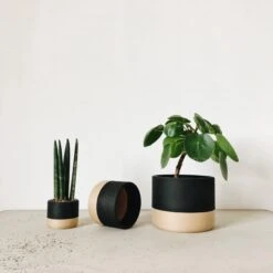 Nairobi Planter By Minimum Design -Cloud-Hidden Plants s753278155256112669 p1292 i4 w2560