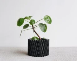 Croix Black Planter By Minimum Design