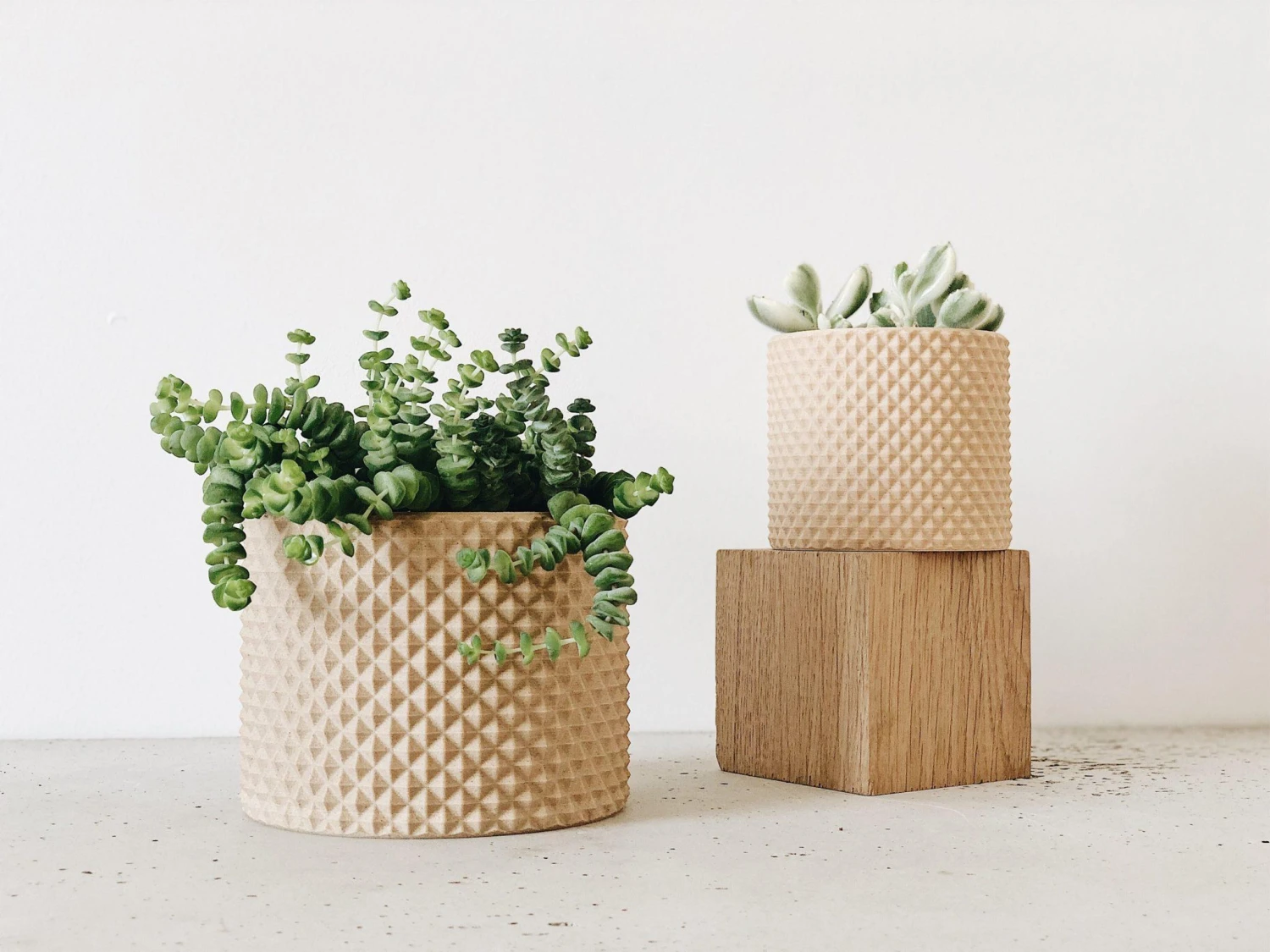 PIKO Planter By Minimum Design 2 PIKO Planter By Minimum Design - Image 2