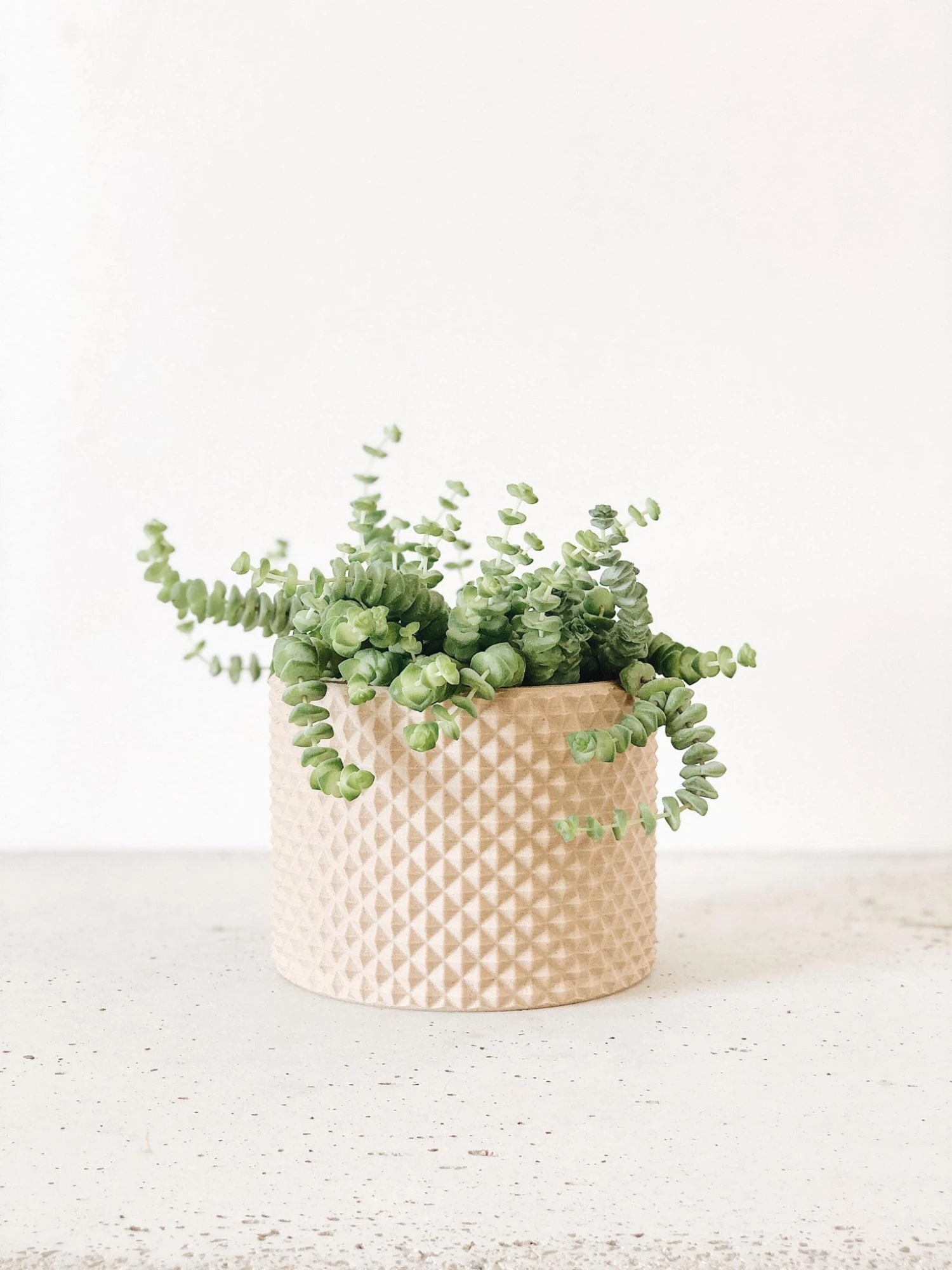 PIKO Planter By Minimum Design 4 PIKO Planter By Minimum Design - Image 4