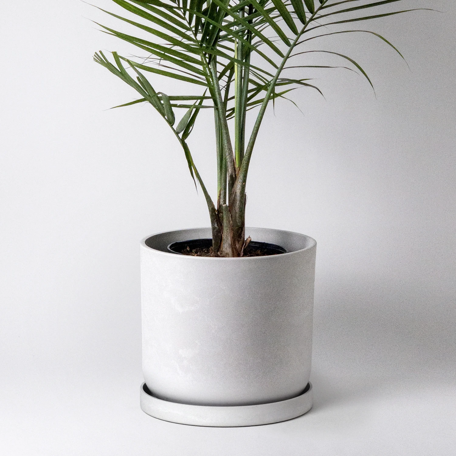 Kanso Designs - 12” Signature Stone Planter Pot 2 Kanso Designs - 12” Signature Stone Planter Pot - Image 2