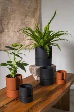 Jett Pot By ACCENT DECOR 6 Jett Pot By ACCENT DECOR -Cloud-Hidden Plants s753278155256112669 p1361 i3 w1000