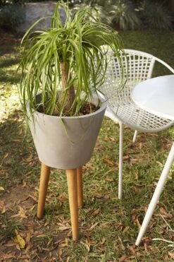 Berlin Vase Tripod Planter By Accent Decor -Cloud-Hidden Plants s753278155256112669 p1378 i2 w1000