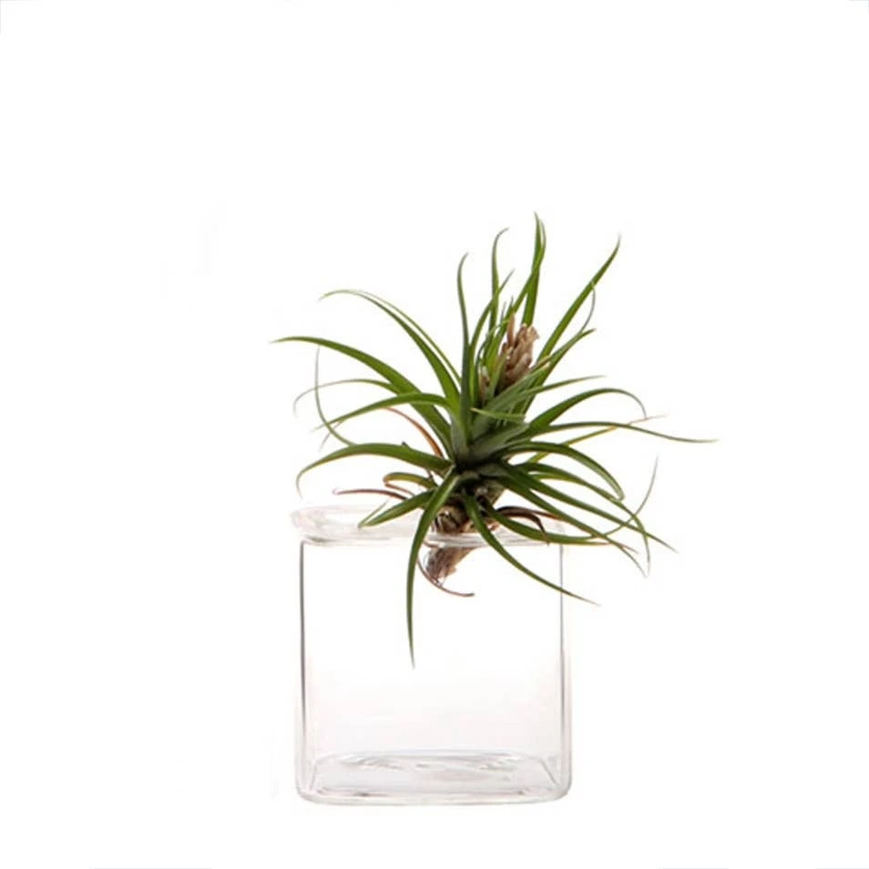 Glass Cube Vase Hudson 3 By CHIVE