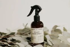 Organic Leaf Shine Spray