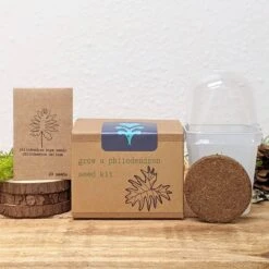 Plantflix - Grow A Philodendron Seed Kit