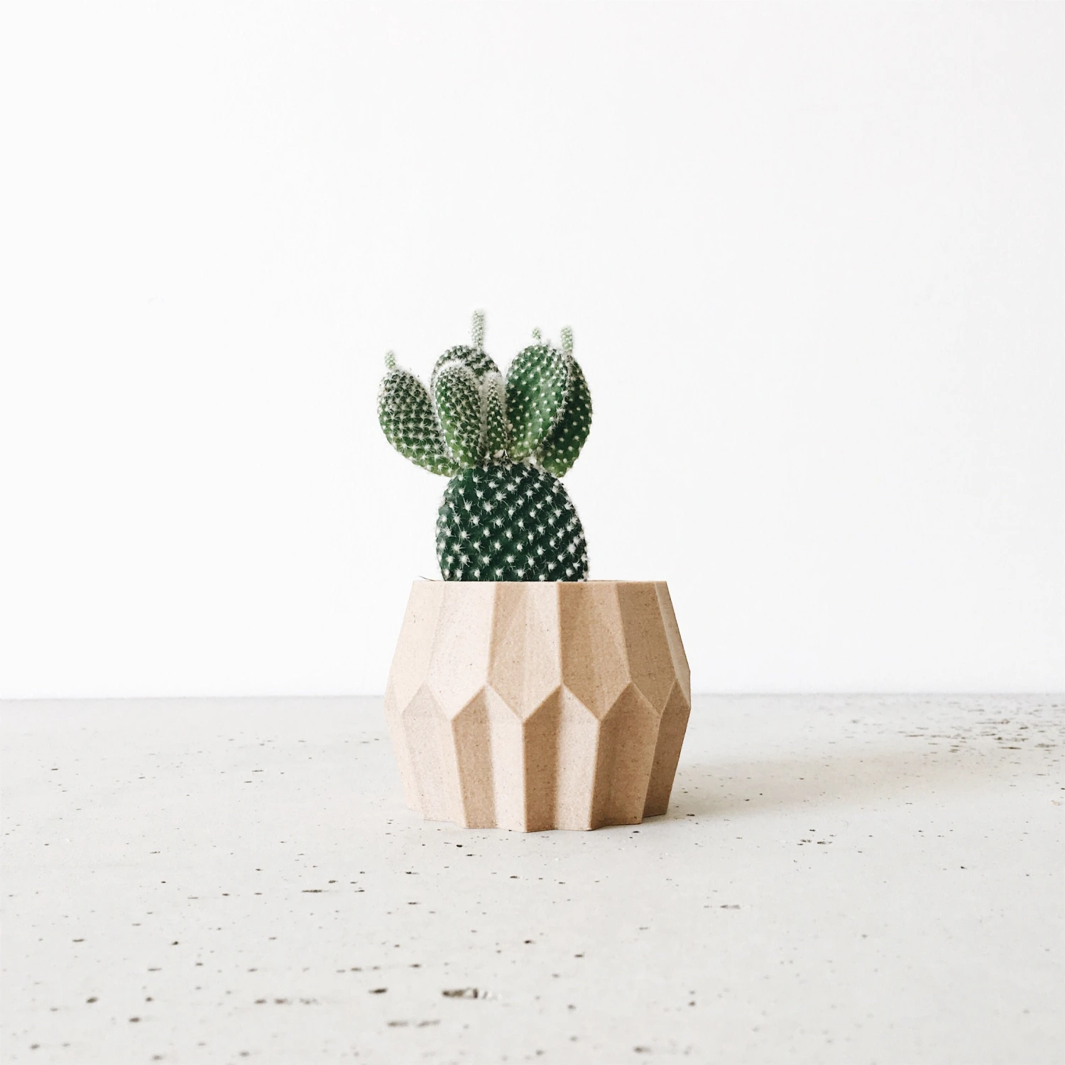 Tokyo Natural Wood Planter By Minimum Design 1 Tokyo Natural Wood Planter By Minimum Design