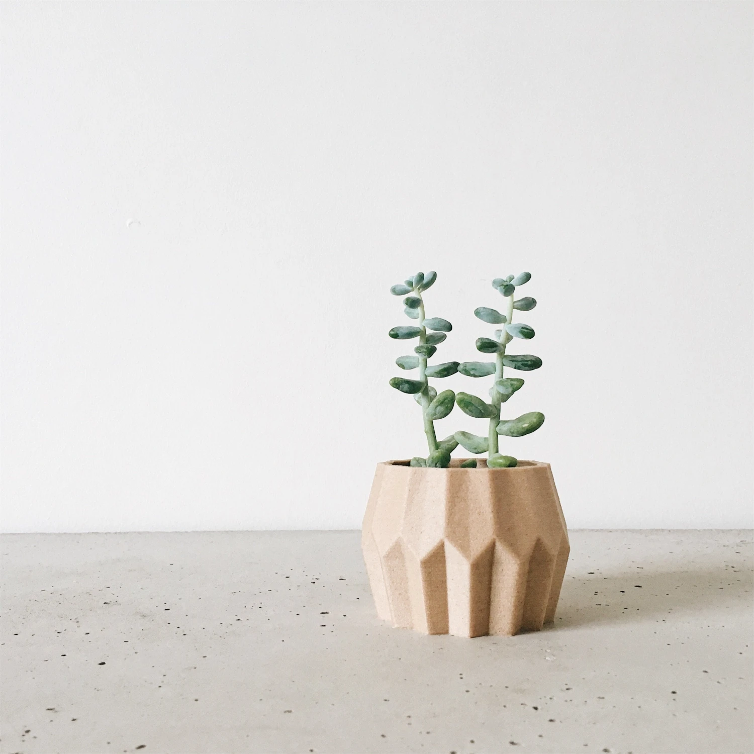 Tokyo Natural Wood Planter By Minimum Design 2 Tokyo Natural Wood Planter By Minimum Design - Image 2