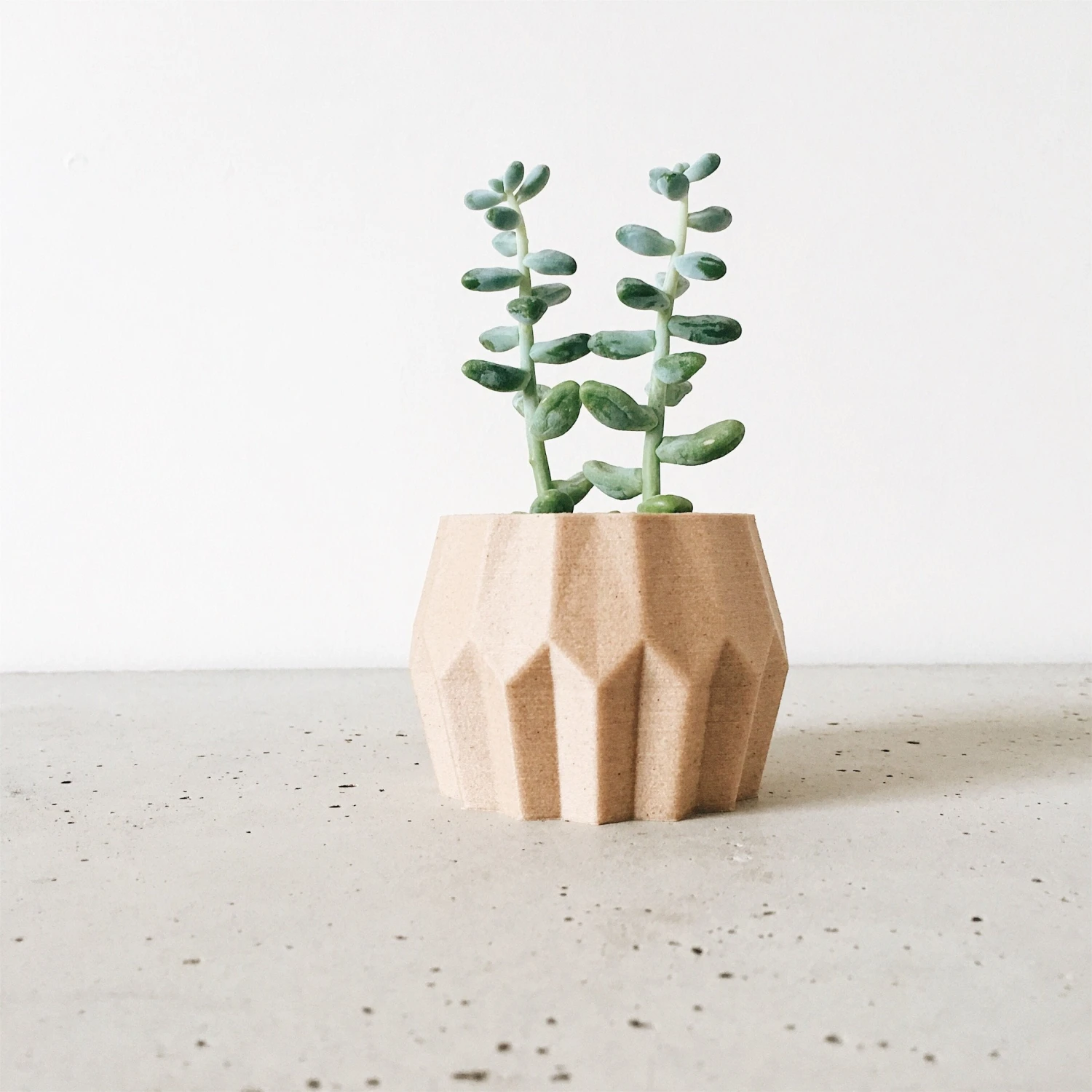 Tokyo Natural Wood Planter By Minimum Design 3 Tokyo Natural Wood Planter By Minimum Design - Image 3
