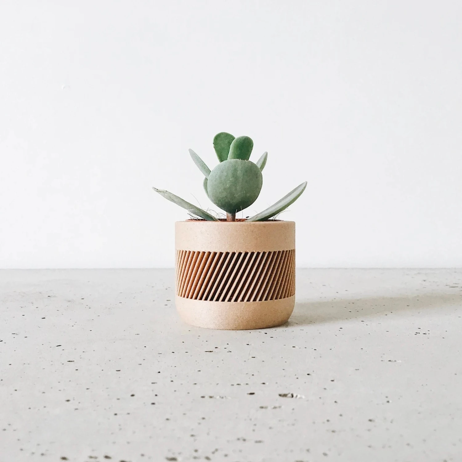 THERMA Planter By Minimum Design 1 THERMA Planter By Minimum Design