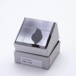 Sola Cube Tiger's Claw 6 Sola Cube Tiger's Claw -Cloud-Hidden Plants s753278155256112669 p1463 i3 w800