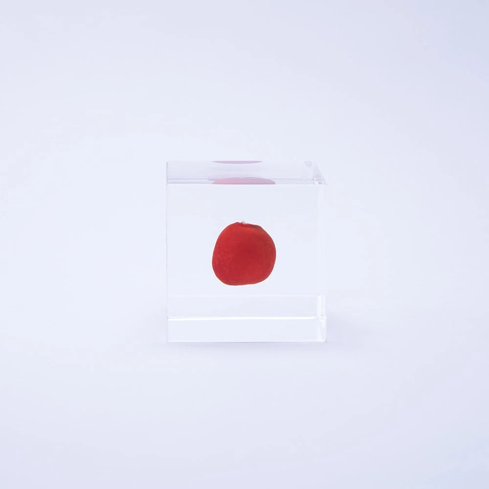 Sola Cube Huayruro 2 Sola Cube Huayruro - Image 2