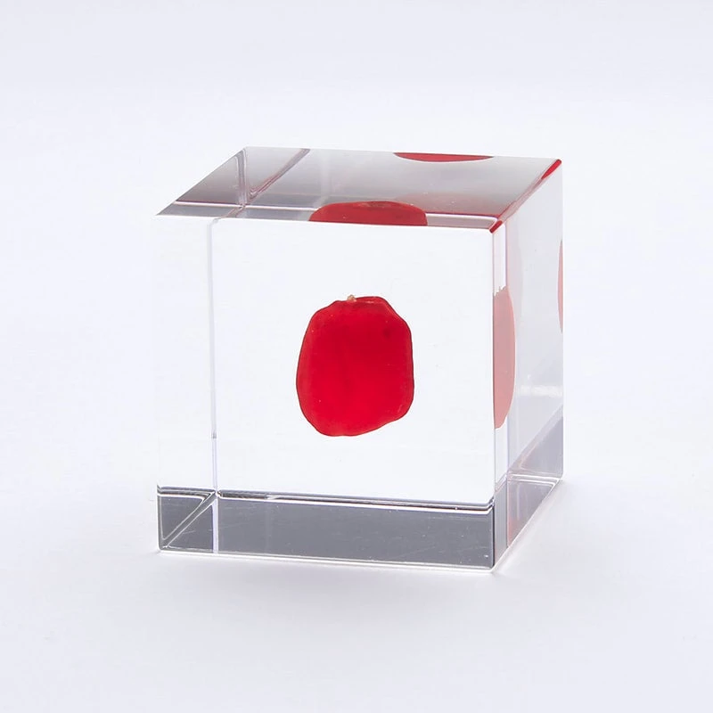 Sola Cube Huayruro 3 Sola Cube Huayruro - Image 3