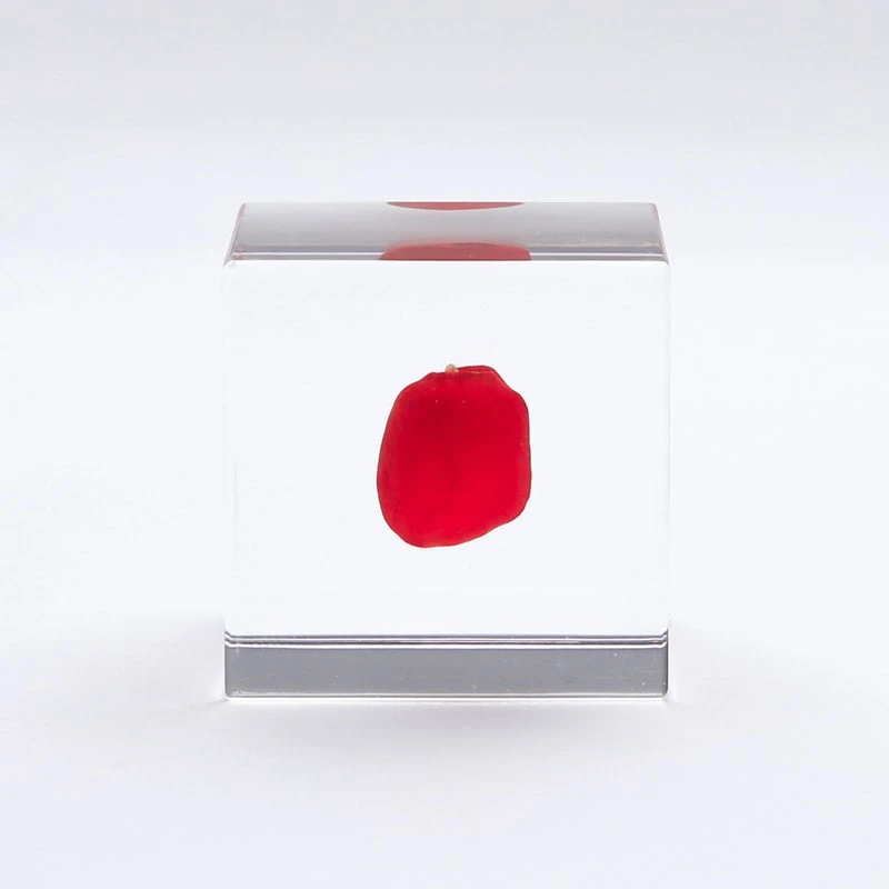 Sola Cube Huayruro 4 Sola Cube Huayruro - Image 4