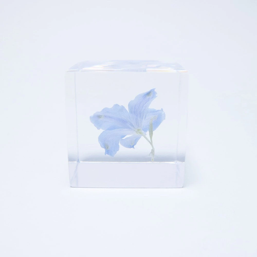 Sola Cube Siberian Larkspur 6 Sola Cube Siberian Larkspur - Image 6