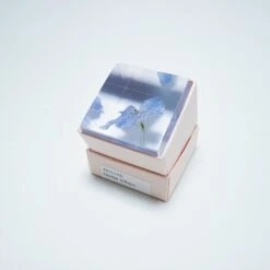 Sola Cube Siberian Larkspur 15 Sola Cube Siberian Larkspur -Cloud-Hidden Plants s753278155256112669 p1465 i8 w1000