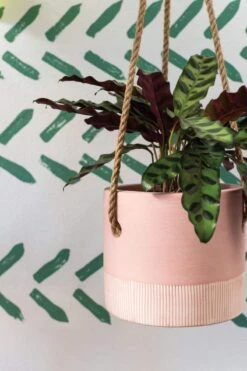 Leia Hanging Pot -Cloud-Hidden Plants s753278155256112669 p1505 i2 w800