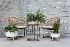 Parkview Planter - Plant Stand -Cloud-Hidden Plants s753278155256112669 p1542 i2 w800