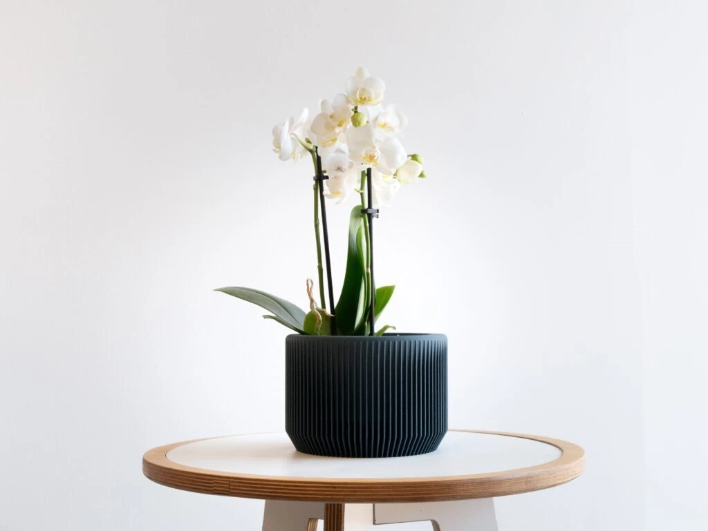 Praha Planter In BLUE By MINIMUM DESIGN 2 Praha Planter In BLUE By MINIMUM DESIGN - Image 2