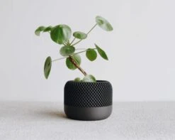 Apple Planter BLACK By Minimum Design