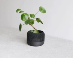 Apple Planter BLACK By Minimum Design 5 Apple Planter BLACK By Minimum Design -Cloud-Hidden Plants s753278155256112669 p1553 i3 w1024
