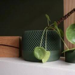 Apple Planter Green By Minimum Design 5 Apple Planter Green By Minimum Design -Cloud-Hidden Plants s753278155256112669 p1554 i3 w1024