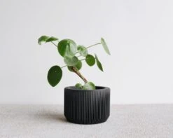 Praha Planter In BLACK By MINIMUM DESIGN