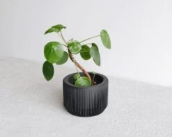 Praha Planter In BLACK By MINIMUM DESIGN -Cloud-Hidden Plants s753278155256112669 p1555 i3 w1024